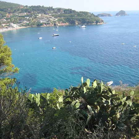 Mandel By Mandel Club 3*
