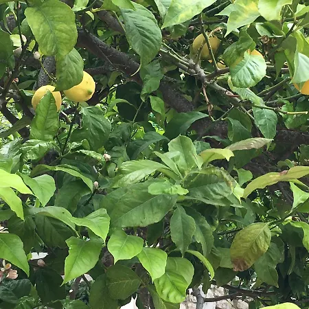 Mandel By Mandel Club 4* Capoliveri (Isola d'Elba)